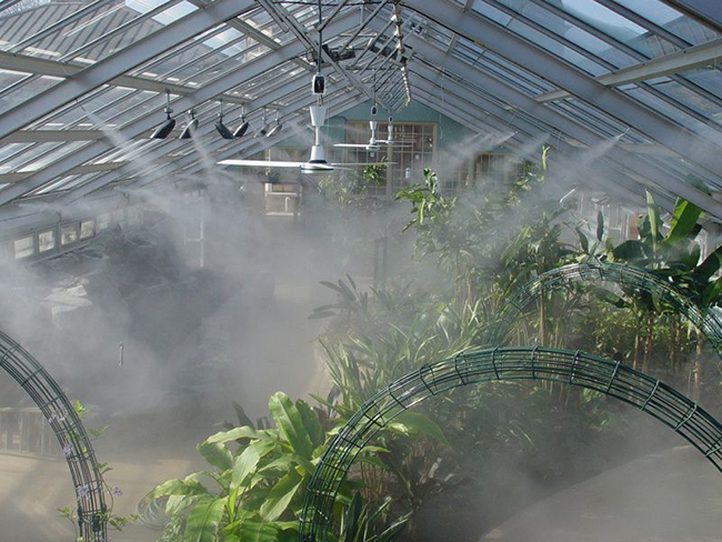 kỹ thuật trồng địa lan phun sương